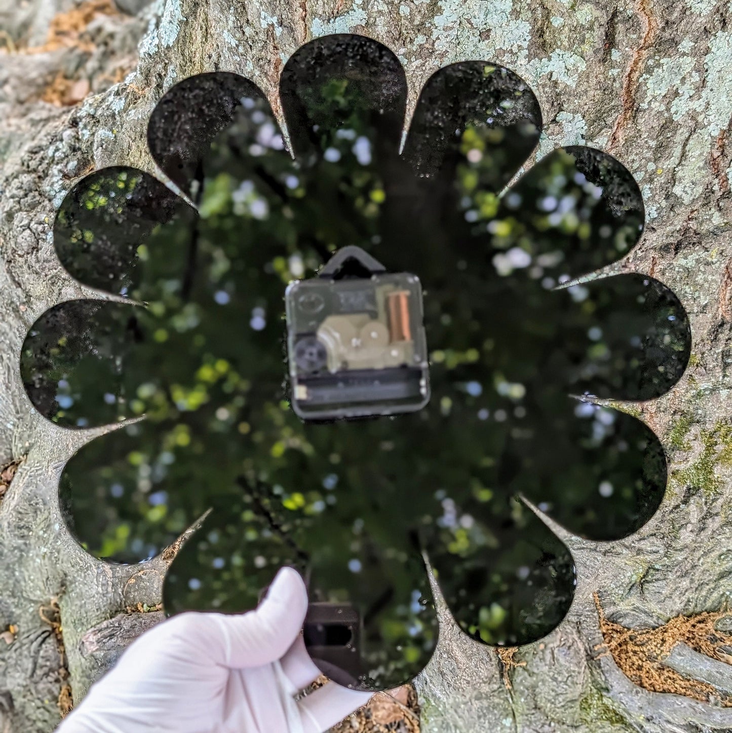 Black Daisy Wall Clock