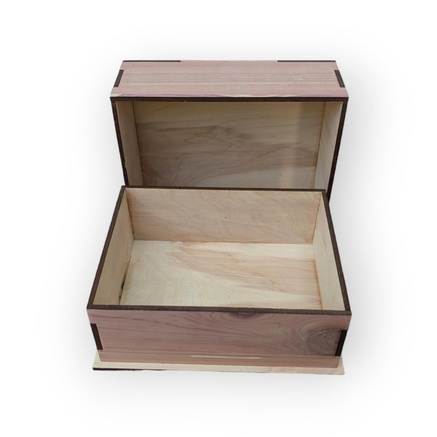 Custom Mushroom Wooden Display Box