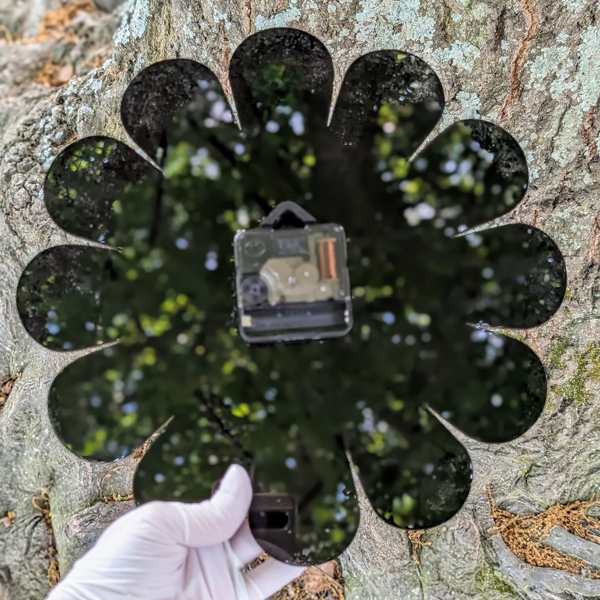 Black Daisy Wall Clock
