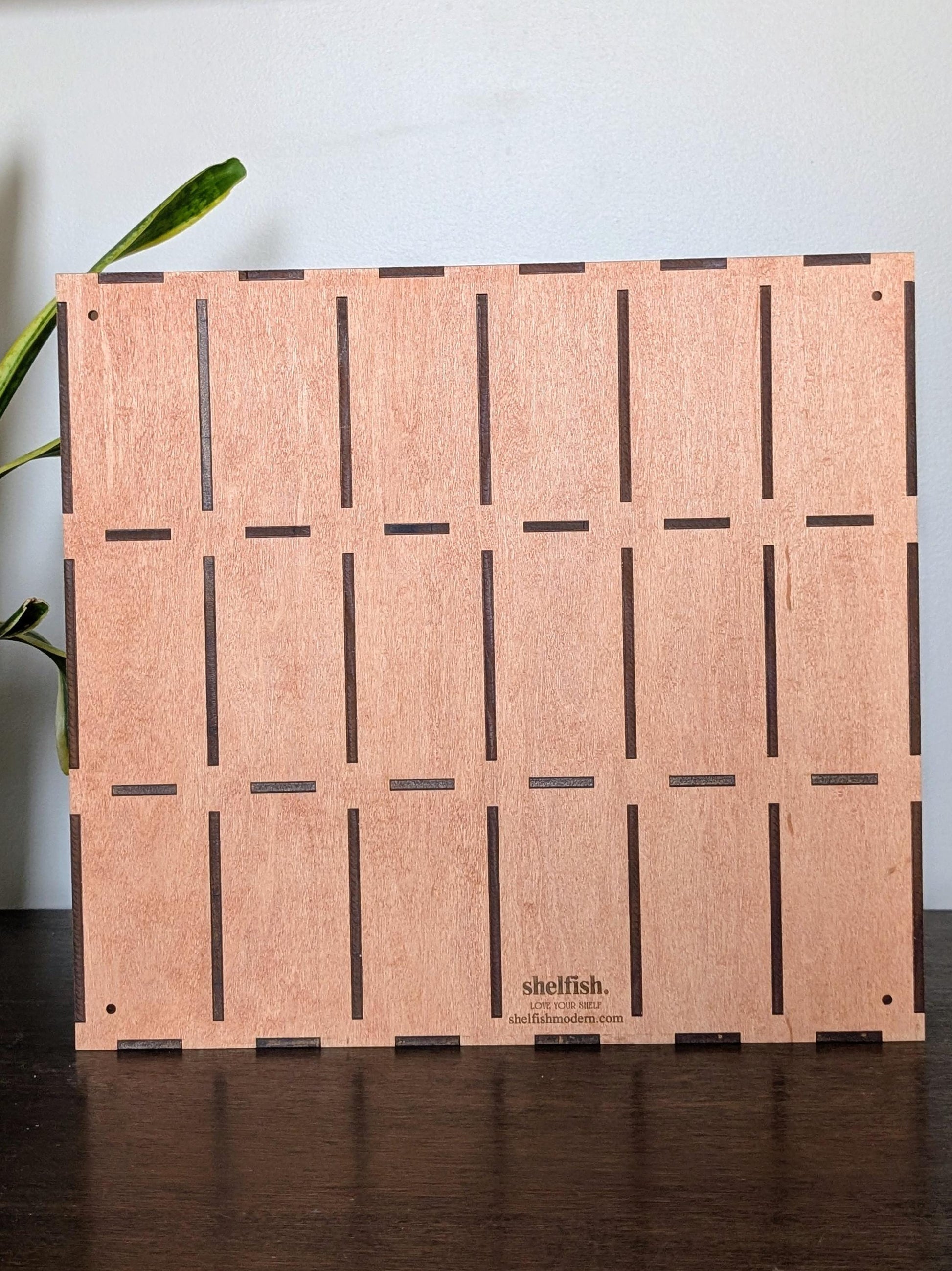 18 Compartment Wooden Display Shelf - 4.75x2.5 - Trinket Shelf - Curio Cabinet