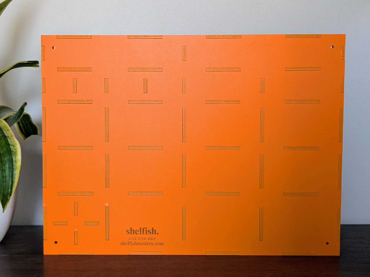 Shadow Box Wooden Display Shelf - Wall Cubby Shelf - Multiple Compartment Sizes - #1 - Trinket Shelf - Curio Cabinet