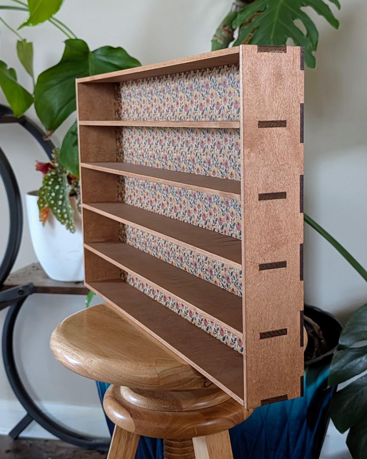 5 Compartment Shadow Box Wooden Display Shelf - Wall Cubby Shelf - 2x18 - Trinket Shelf - Curio Cabinet